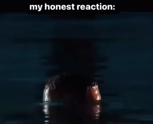 My Honest Reaction Drakes Honest Reaction GIF - My Honest Reaction Drakes Honest Reaction Drake In Water GIFs