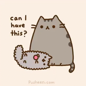 Hi Cats GIF - Hi Cats Can I Have These GIFs