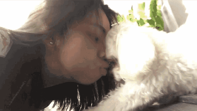 a woman kisses a white dog on the nose