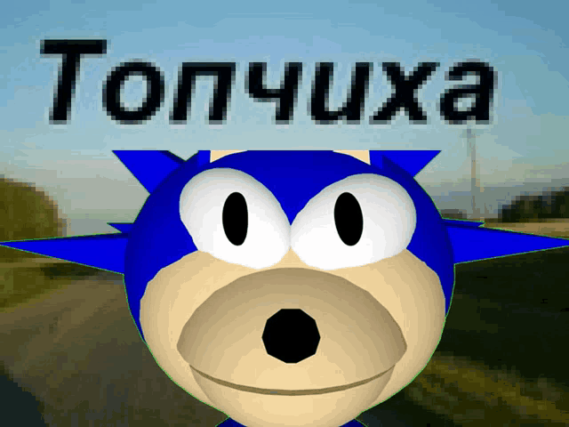a cartoon of sonic the hedgehog with the word topchuxa behind him