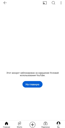 a white screen with a blue button that says " на главную " on it