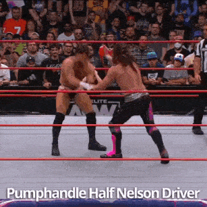 two men in a wrestling ring with the words pumphandle half nelson driver on the bottom