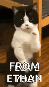 a black and white cat is standing on its hind legs with the words `` from ethan '' written above it .
