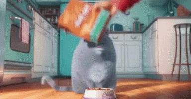 a cat is eating from a bowl in a kitchen while a bag of food is being poured into it .