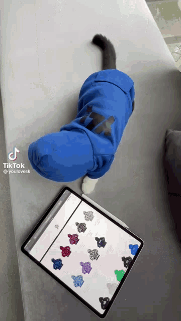 a cat wearing a blue nike hoodie laying on a couch next to a tablet