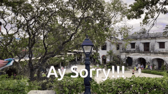 a sign that says " ay sorry " in front of a tree