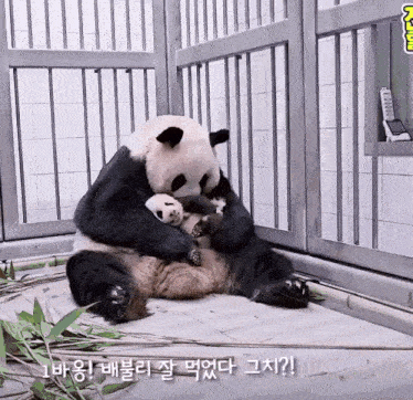 a panda bear holding a baby bear in a cage with chinese writing