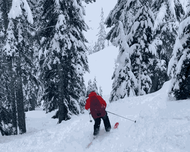 Skiing Snow GIF - Skiing Snow Cold GIFs