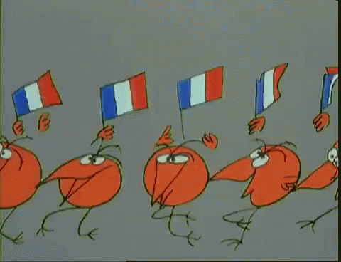 France French GIF - France French Rally GIFs