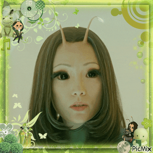 a picture of a woman 's face is surrounded by a green frame with picmix written on it