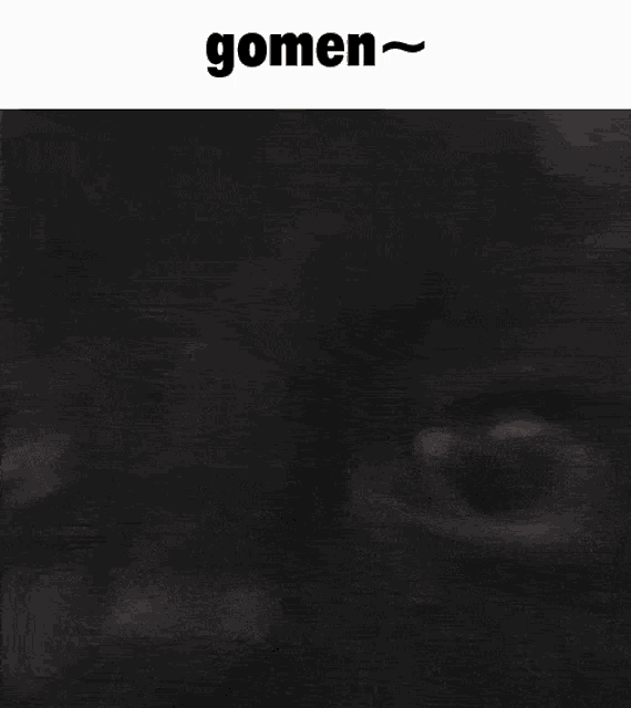 Gomen Boosy GIF - Gomen Boosy Sorry GIFs