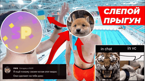 a man stands in front of a swimming pool with a dog and a tiger in the background