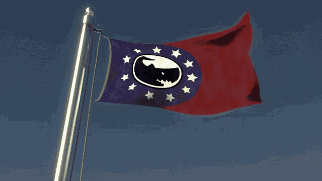 a red and blue flag with white stars and a black eagle