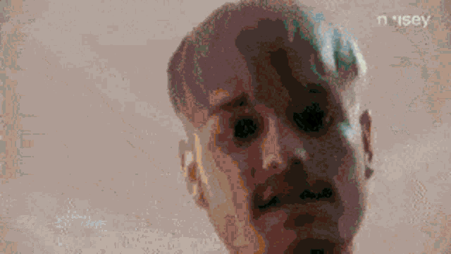 6dogs GIF