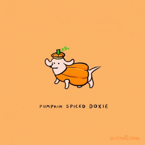 Happy Dog Pumpkin GIF - Happy Dog Pumpkin Pumpkin Spice Doxie GIFs