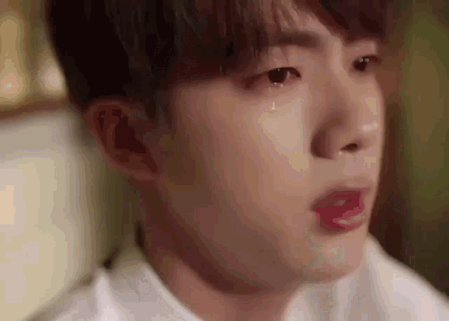 Jin Crying Jin Reaction Crying GIF - Jin Crying Jin Reaction Crying GIFs