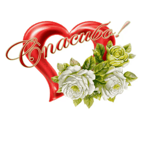 a red heart surrounded by white roses has the word спасибо on it