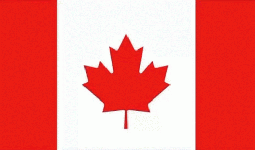 Canada Australia GIF - Canada Australia Caderie GIFs