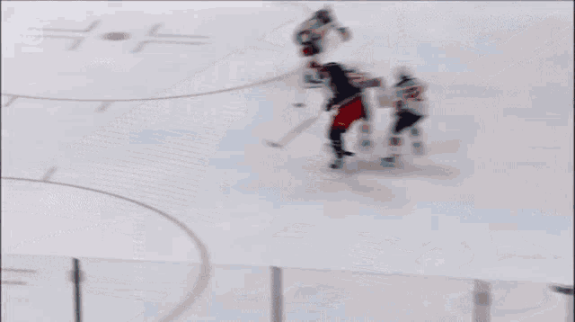a hockey game is being played in front of an advertisement for dsw and vector security