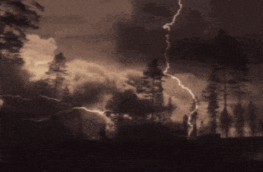 a lightning bolt strikes a tree in the dark