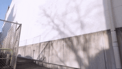 a white wall with a chain link fence and a shadow of a tree on it