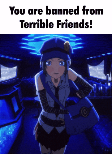 a picture of a girl with the words " you are banned from terrible friends " at the top