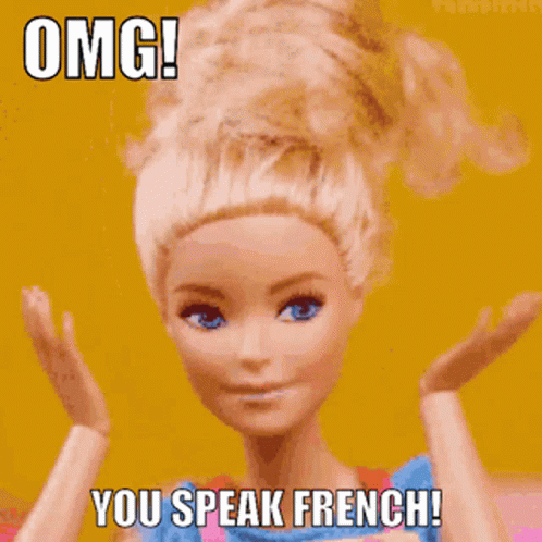 You Speak French Omg GIF - You Speak French Omg Parlez Vous Francais GIFs