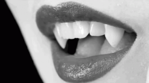 Vampire Teeth GIF - Vampire Teeth GIFs