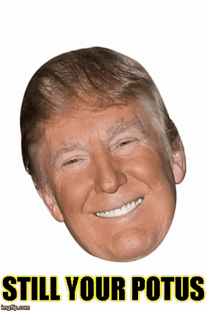 a picture of donald trump with the words still your potus