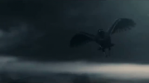 Raven Dive Down Geralt Of Rivia GIF - Raven Dive Down Geralt Of Rivia The Witcher GIFs