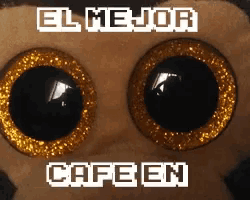 a close up of a stuffed animal 's eyes with the words el mejor cafe en above it