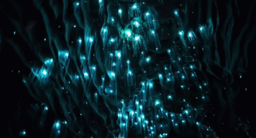 Glowing Cave Living Lights GIF - Glowing Cave Living Lights Twinkle GIFs