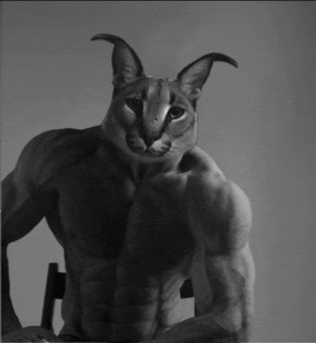 a black and white photo of a cat without a shirt on