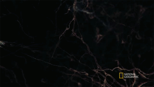 Neurons Cosmos GIF - Neurons Cosmos Possible Worlds GIFs