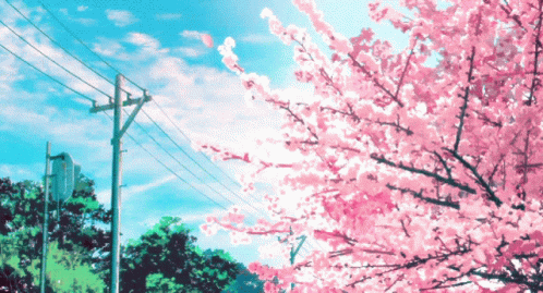 Cherry Blossoms Anime GIF - Cherry Blossoms Anime GIFs