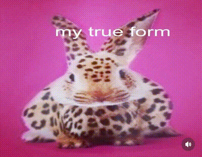 a picture of a rabbit with the words " my true form " on the bottom right