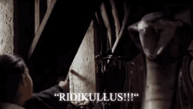 a woman is holding a wand in front of a skull with the words `` ridiculous '' written on it .