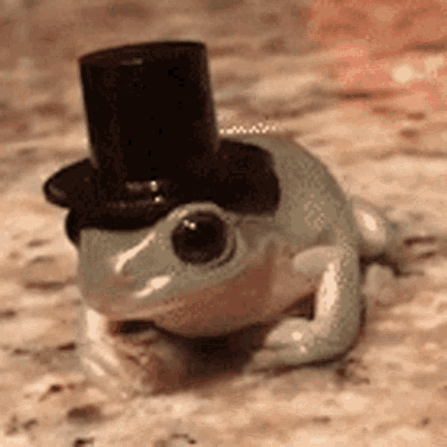 Frog Hat Gentleman Frog GIF - Frog Hat Gentleman Frog Frog Steal Hat GIFs