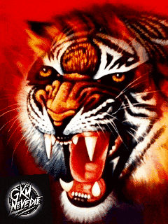 a picture of a tiger with its mouth open and gkm never die written on it