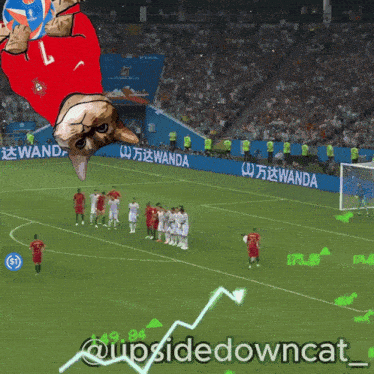 a cat in a red jersey is flying over a soccer field with the caption @upsidedowncat