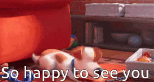 So Happy See You GIF - So Happy See You Dog GIFs