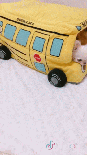 School Bus Dogs GIF