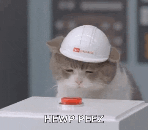 a cat wearing a hard hat is pressing a button on a white box .