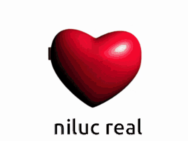 a picture of a girl and a boy in a heart with the words niluc real