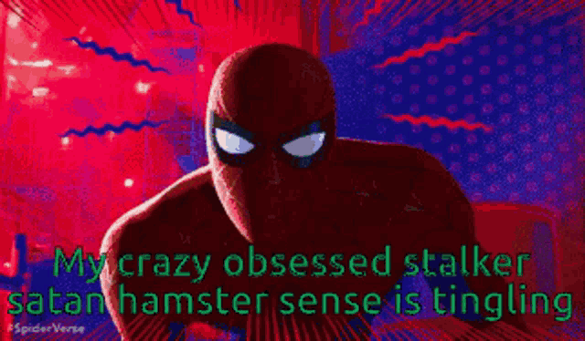 a picture of spider-man with a caption that says my crazy obsessed stalker satan hamster sense is tingling