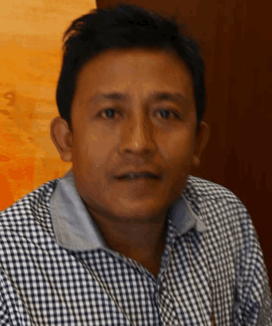 a man in a blue and white checkered shirt looks at the camera