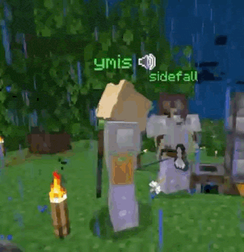 a couple of minecraft characters are standing next to each other in a grassy area .