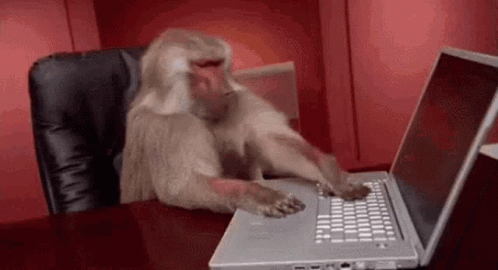 Monkey Laptop GIF - Monkey Laptop Monke GIFs