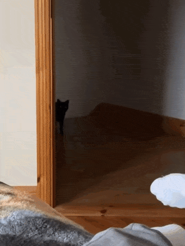 a black cat peeking out from behind a wooden door