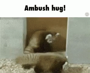 Ambush Hug GIF - Ambush Hug Panda GIFs